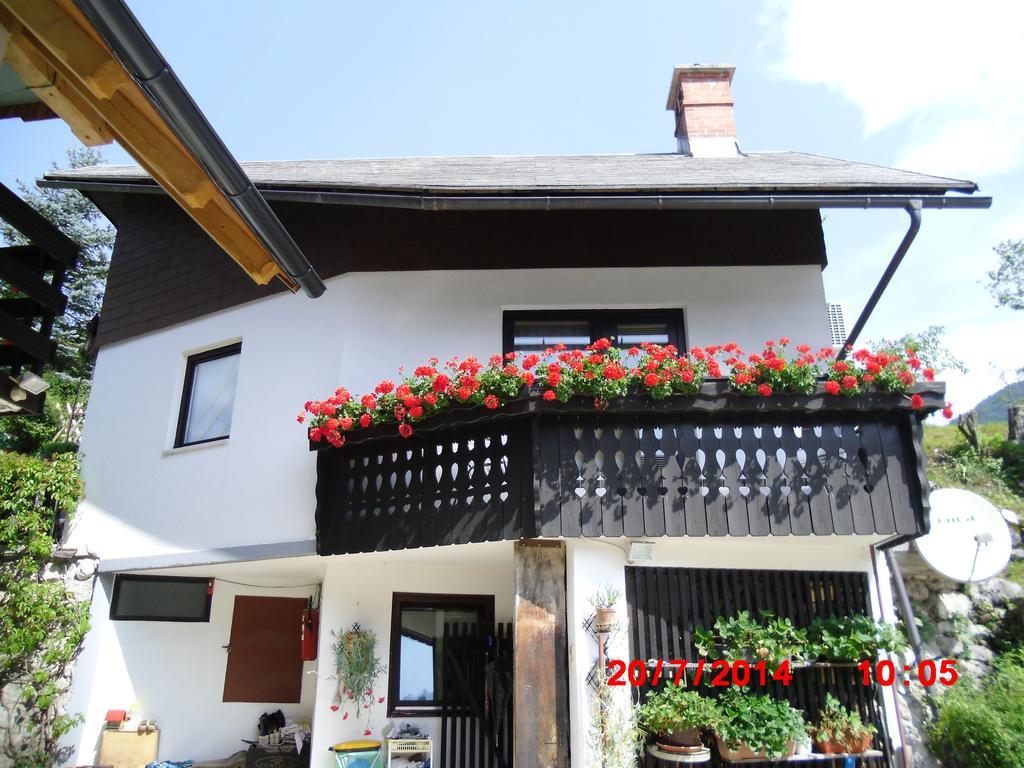 Pri Srni Ferienhaus *