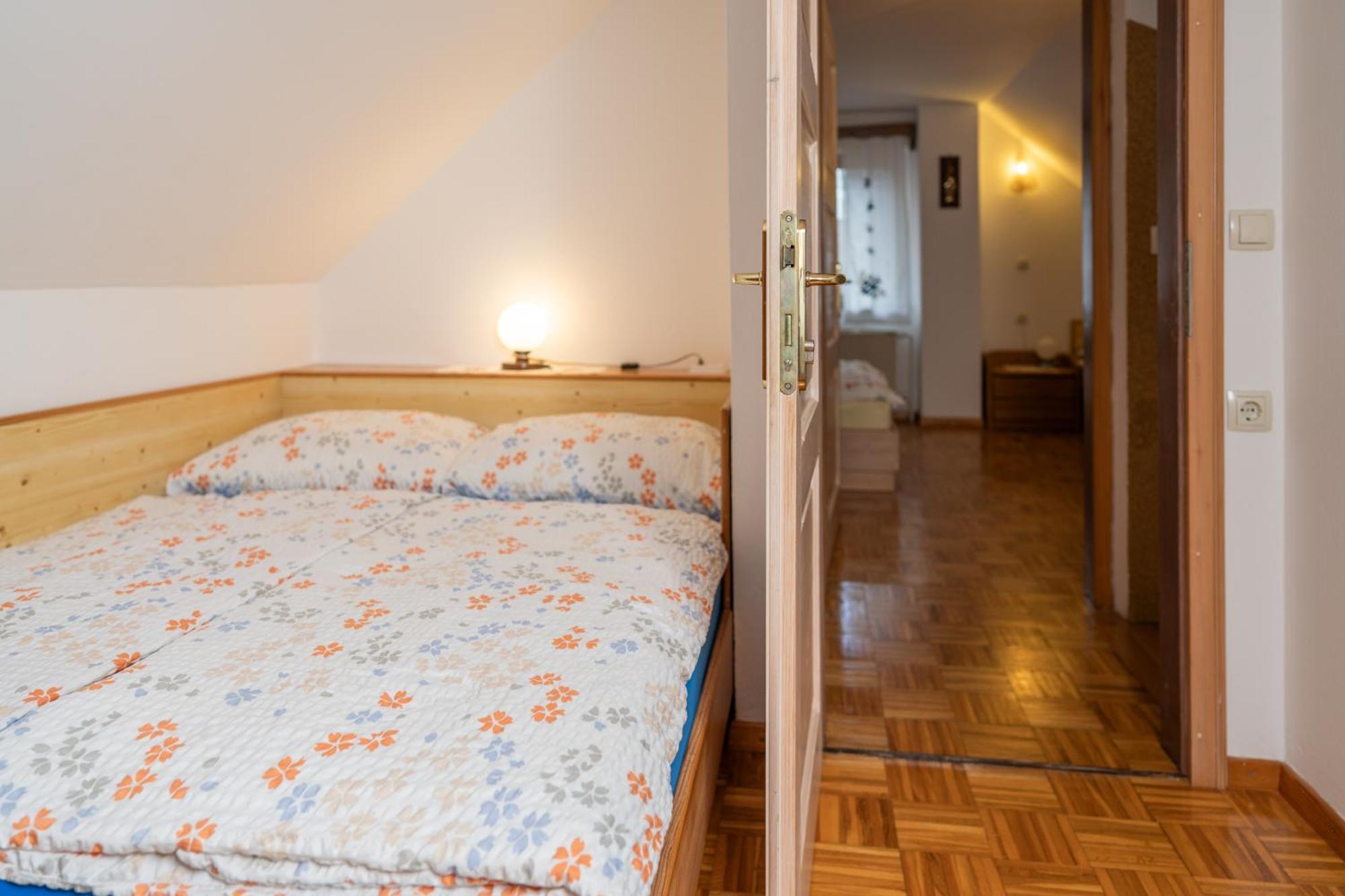 Pri Srni Bohinji-tó